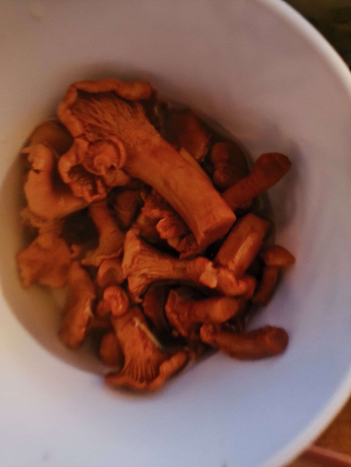 f3a3ef51-66e7-4c44-8be8-9c9dc8fa592e