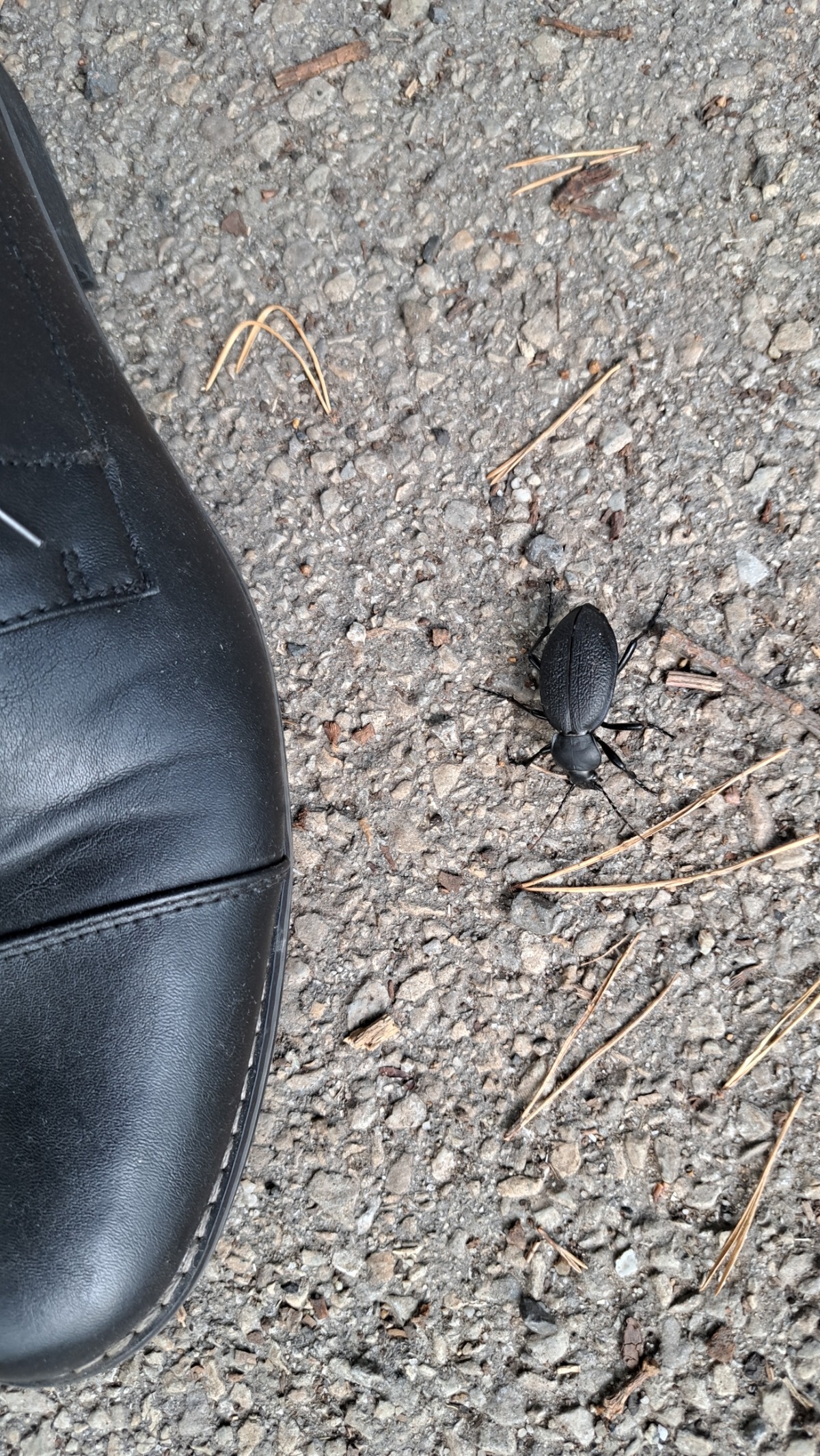 1d03168d-b3bb-4163-b5e9-92e6319e1288