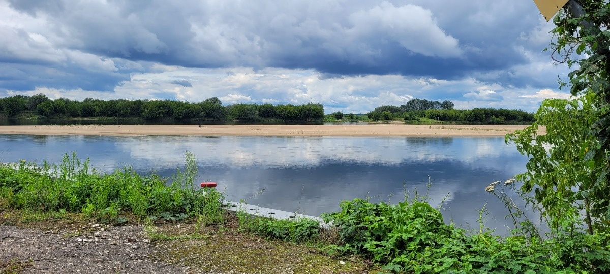 ed929e13-e6a6-4678-b0d7-8b56c578f813