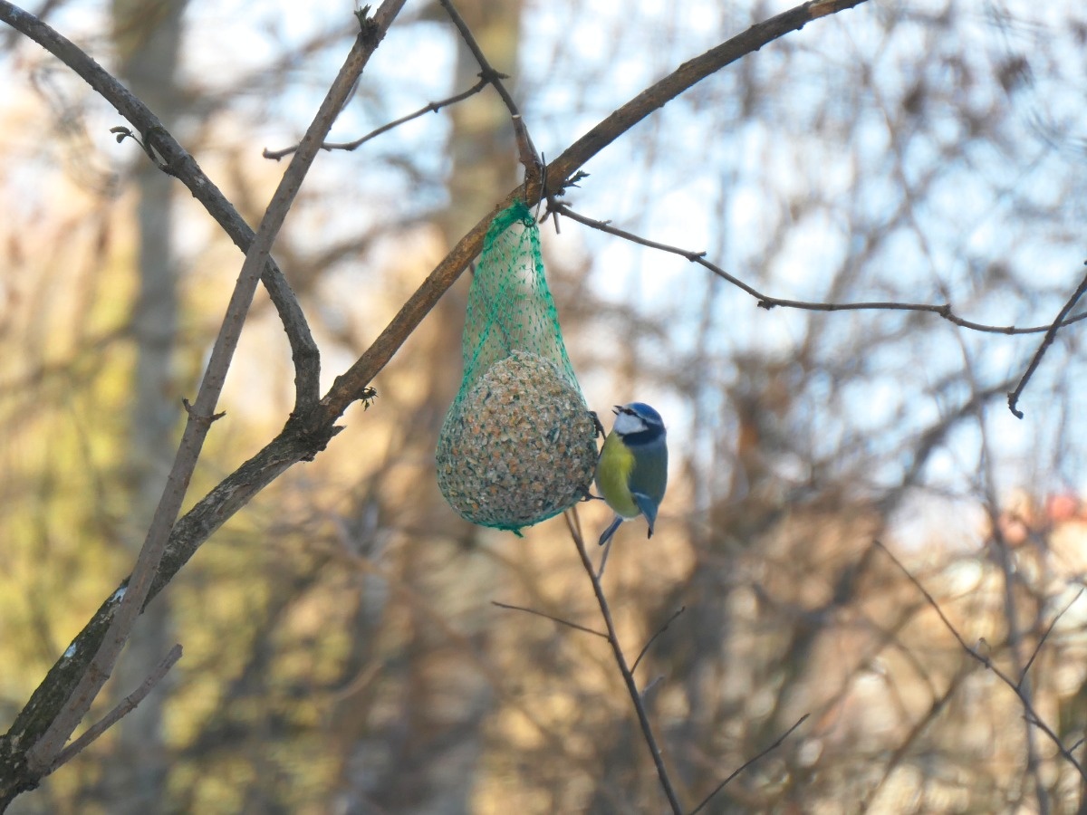 ab4a2d77-adb0-4b0e-85bb-aa4716be1989