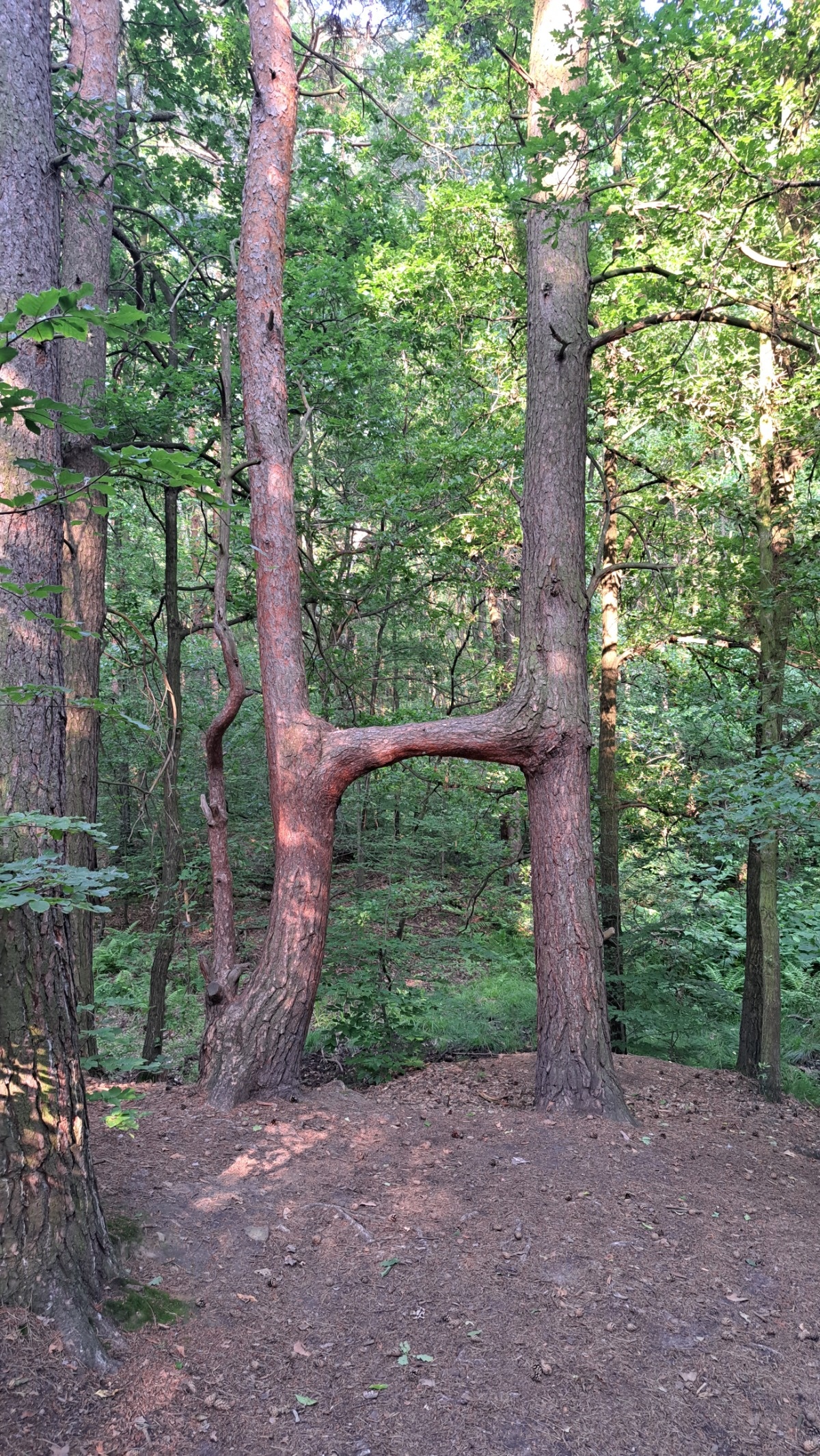 b8171ab4-e5ce-456b-b03e-7be32bdc14c7