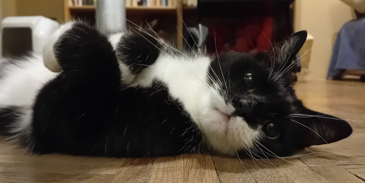 7090d4ed-d0ab-4085-bd56-41ce66a18206