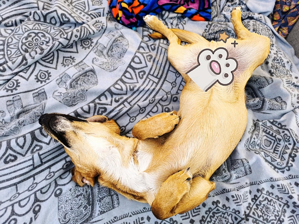 661b366c-885f-411a-8fe0-3332975eae95