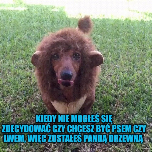 4e5f125d-a185-4cbc-9f5d-e6549664cc17