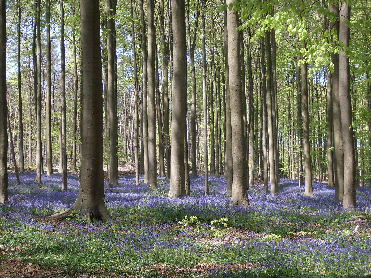 a691daed-8f5f-4ae3-aeaf-64aabf12ad31