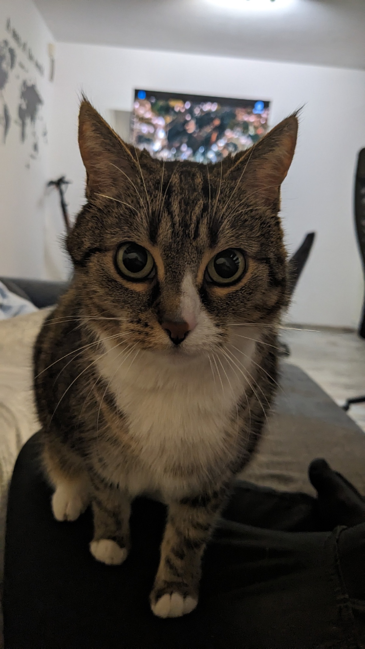 1b39231c-96ba-40b0-8328-dc9a37d1926b