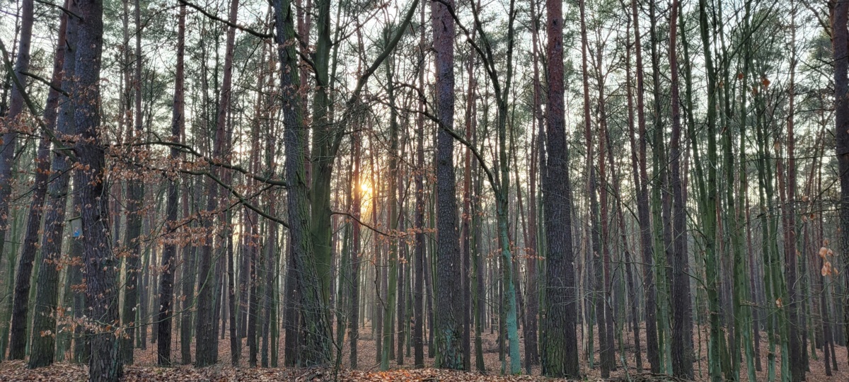 c0564a35-cd26-41ed-905b-8a3d0cf19b2b