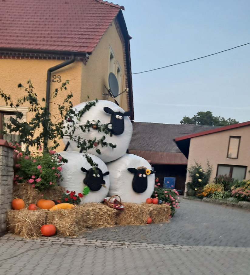 ad7fd9f6-2dc8-447e-ba63-11ff5b114779