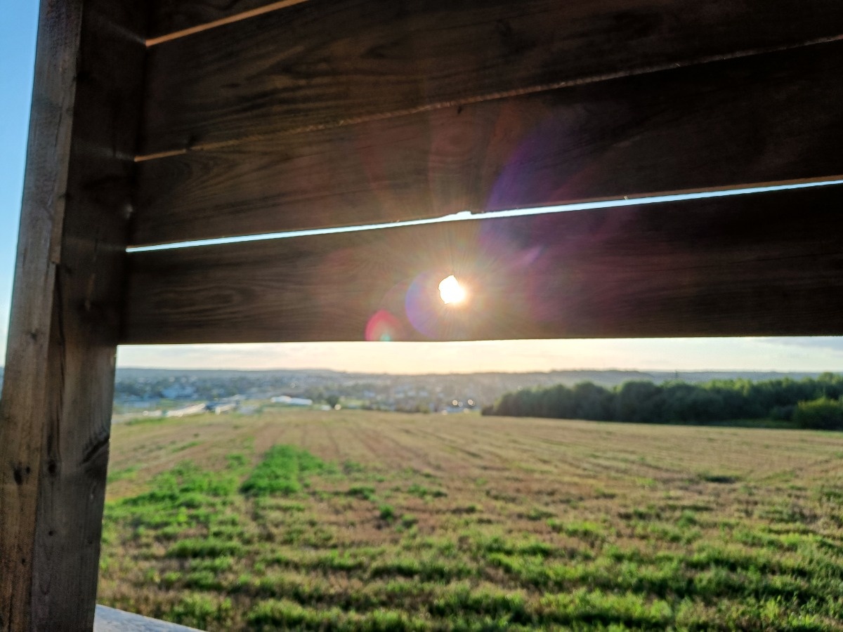 3d315321-7018-4dc8-abae-7bf0ece0ae86