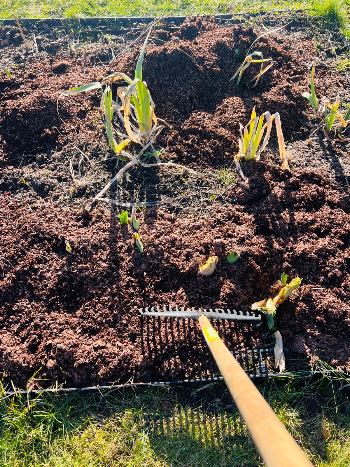 e2b348e4-ebf7-4ec9-8b1e-b69f398b52fb