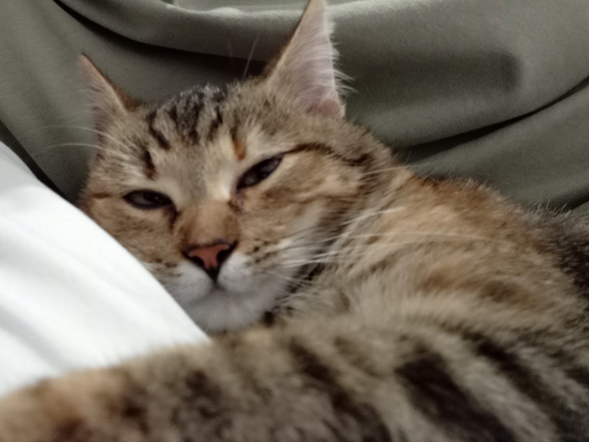 6745b331-a3c9-49c2-8123-523ad26a1698