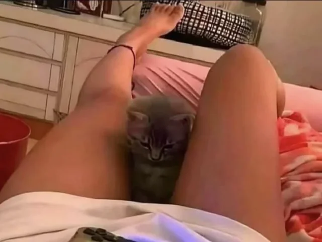 b0fe6094-4d43-4831-8804-3726a72dc879