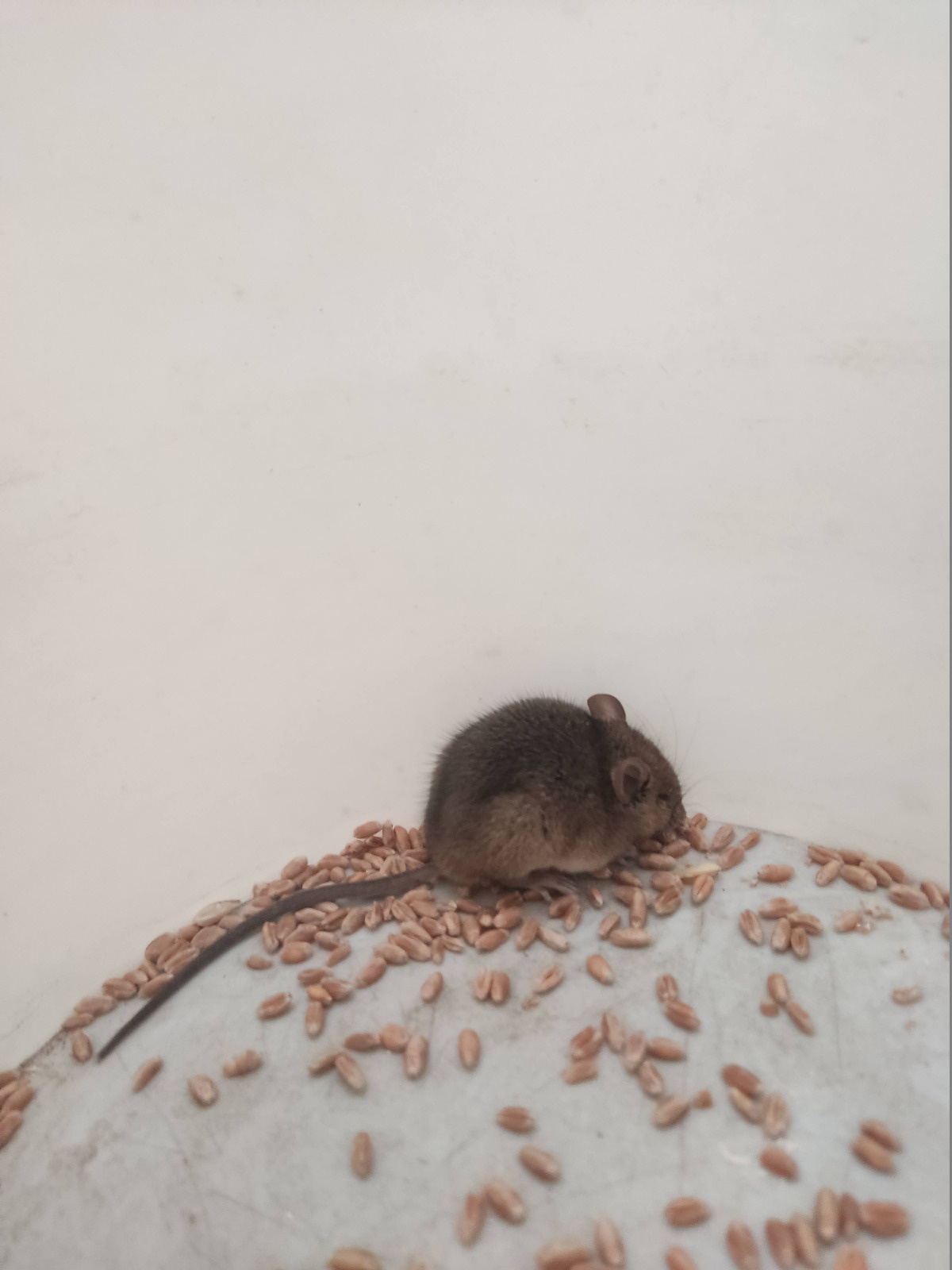 98dfe8b1-d187-46ac-9704-242ff7f4e026