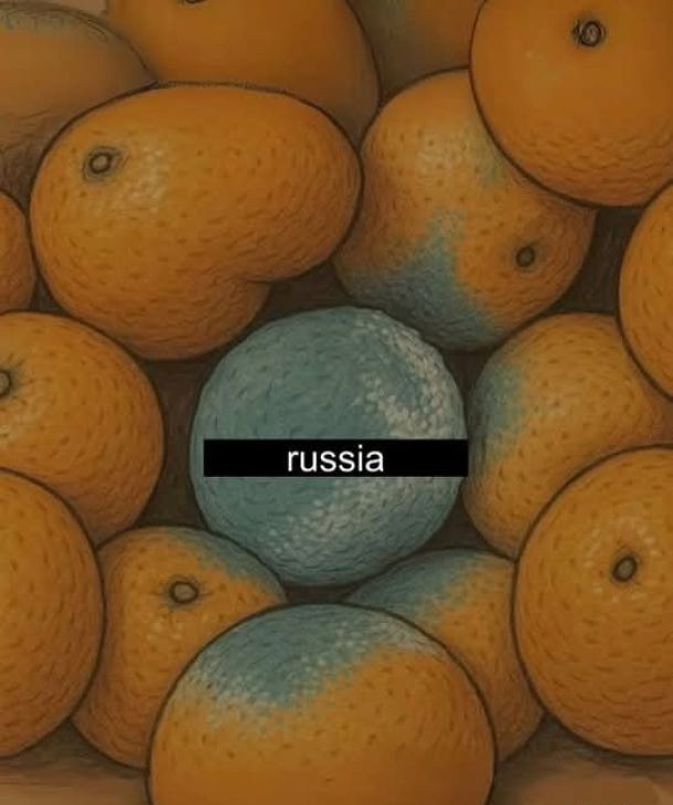 604baa7a-2d0b-44fd-a0d1-daca141f8393