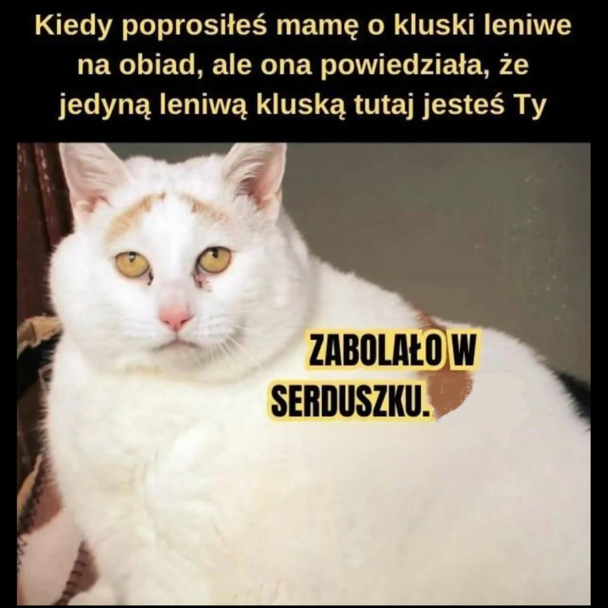 372c0f0d-3c19-409c-b950-88711151241b