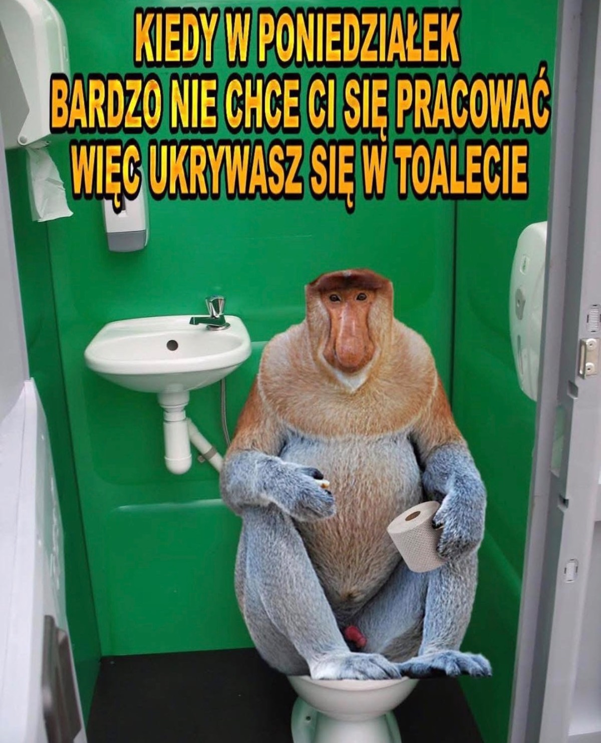 69395434-93e4-4486-9a17-d7dd2f423f82