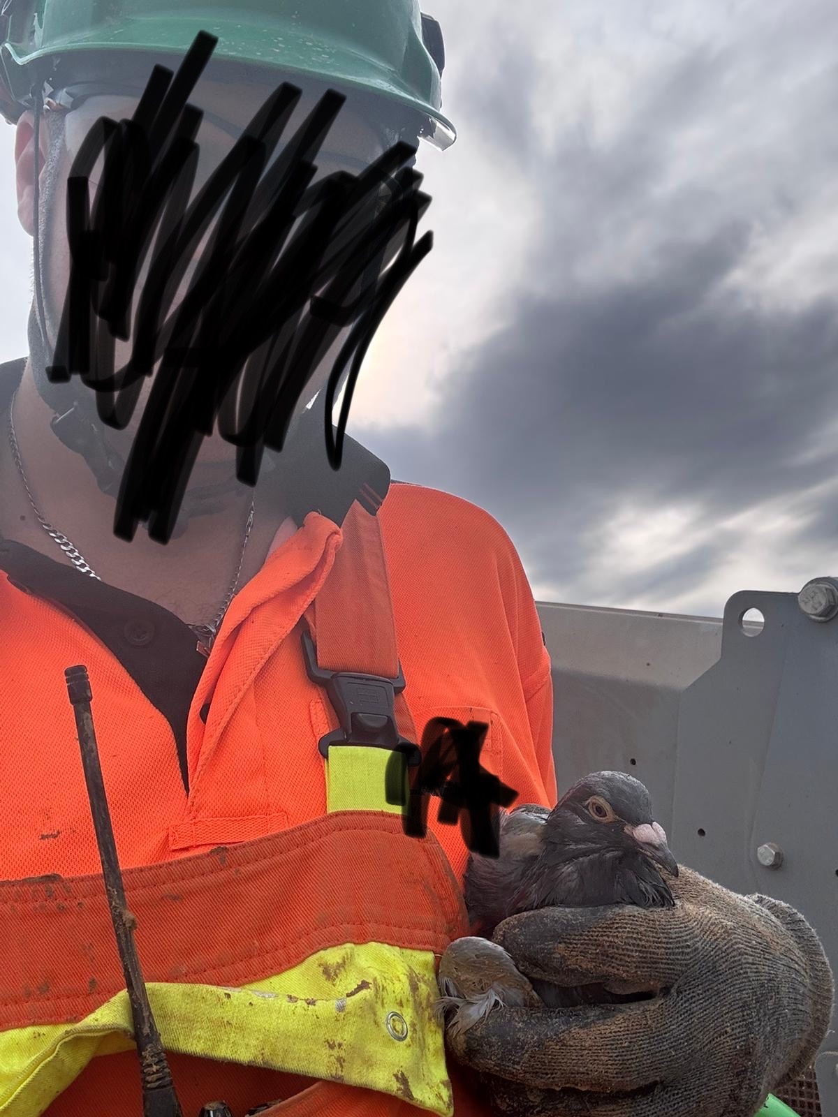 2d143ee9-e708-4e9a-a6bb-df2be81ed4d3