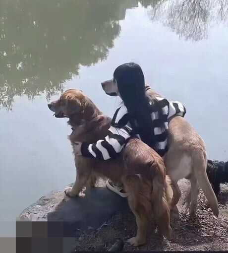 3c82f1c1-619e-4bb0-8bdc-7cb2614dca14