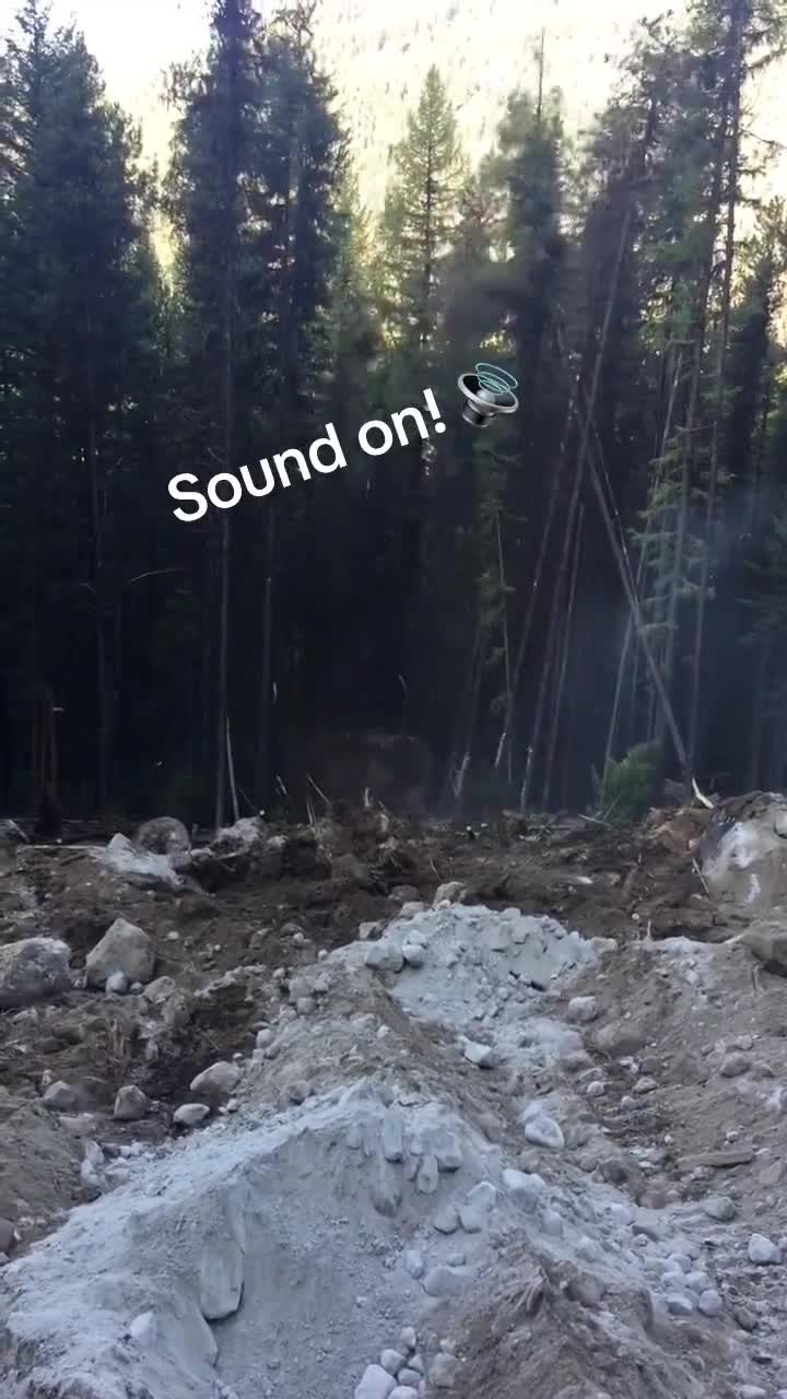 Głaz kładzie drzewa na swej drodze