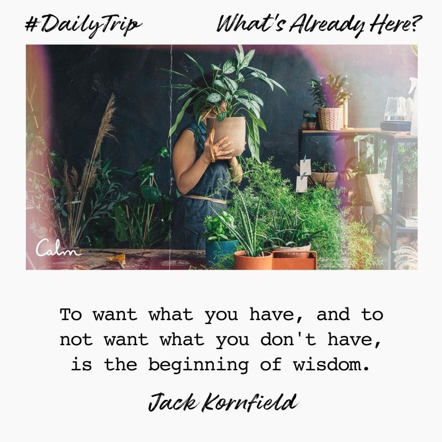 0cfac6b0-80ae-498a-b774-2674d4eb2cb8