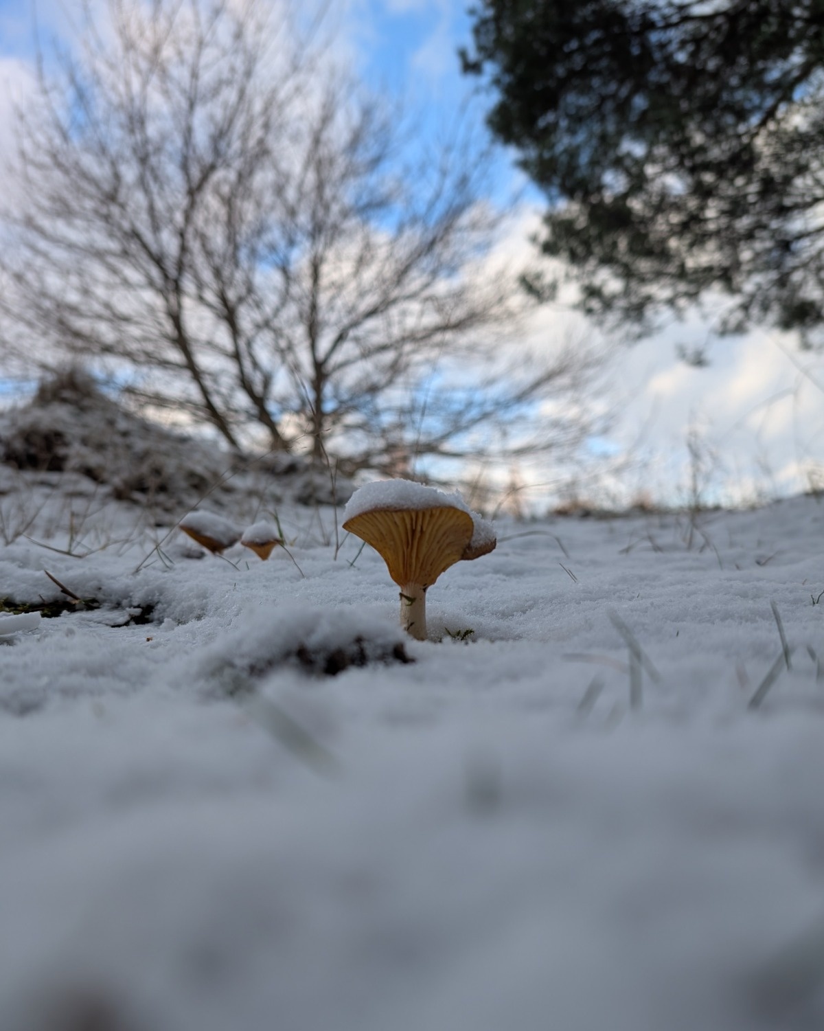 5ba880f2-81c5-4ba0-9a3b-ce4b12845fc2