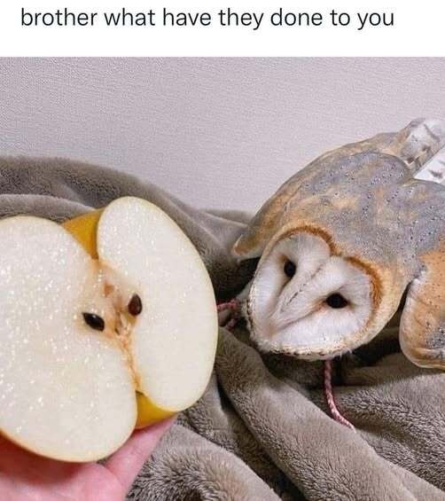 003a0602-de91-4730-8b06-21680b788a9e