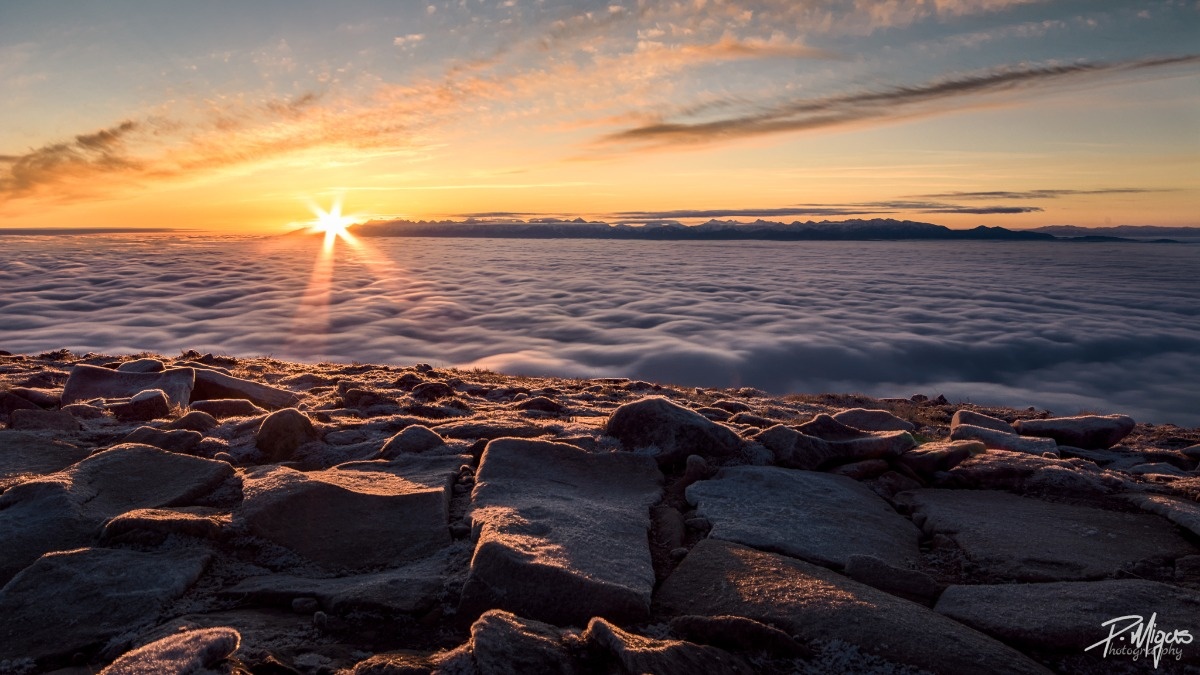 1a74e2d3-dff3-45a6-95fe-84d5377e2f71