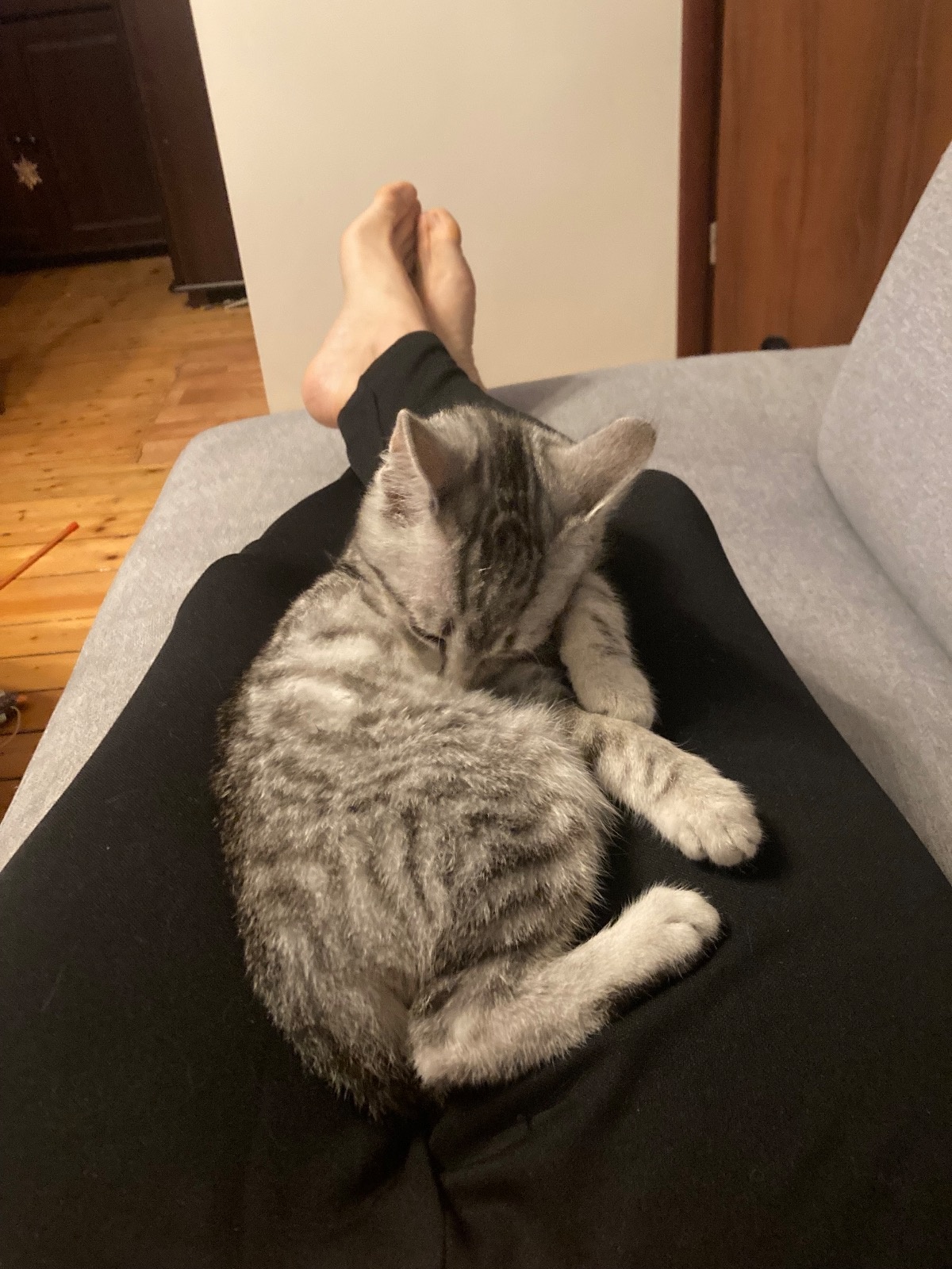 9c7fca01-cf27-4728-a394-4559fb11ca37