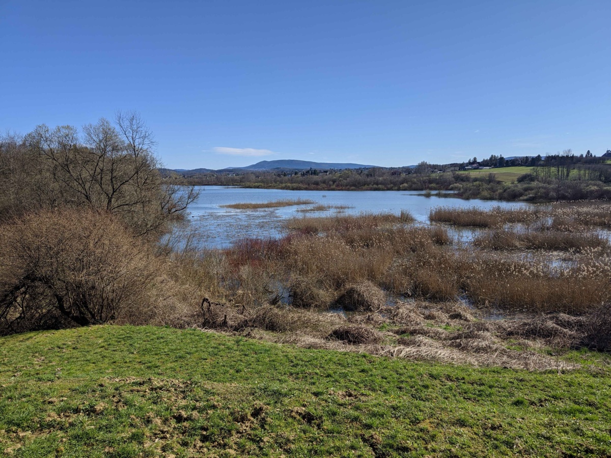 6fb975eb-b155-48b0-a6cd-a66cdd9ecc29