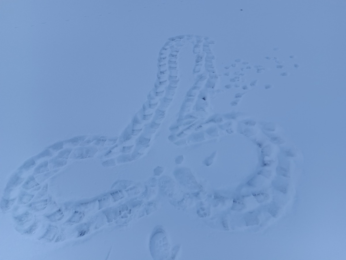 58485912-a2d5-4c31-a573-bfaea7b7c063