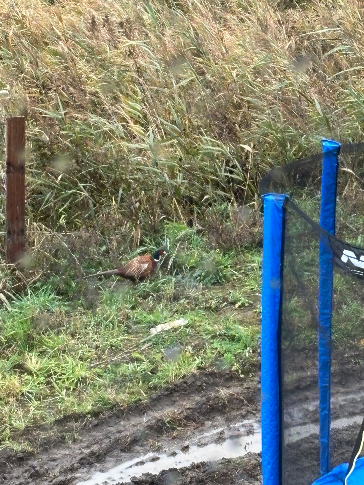 76b8592f-8253-4ea4-82c7-0e8b9ebaa6ed