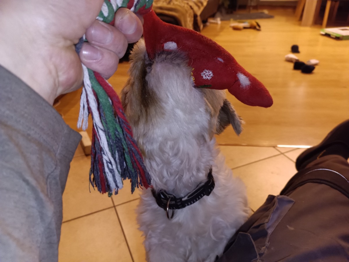 ec5990ad-19b7-46a6-be05-847c8530b519