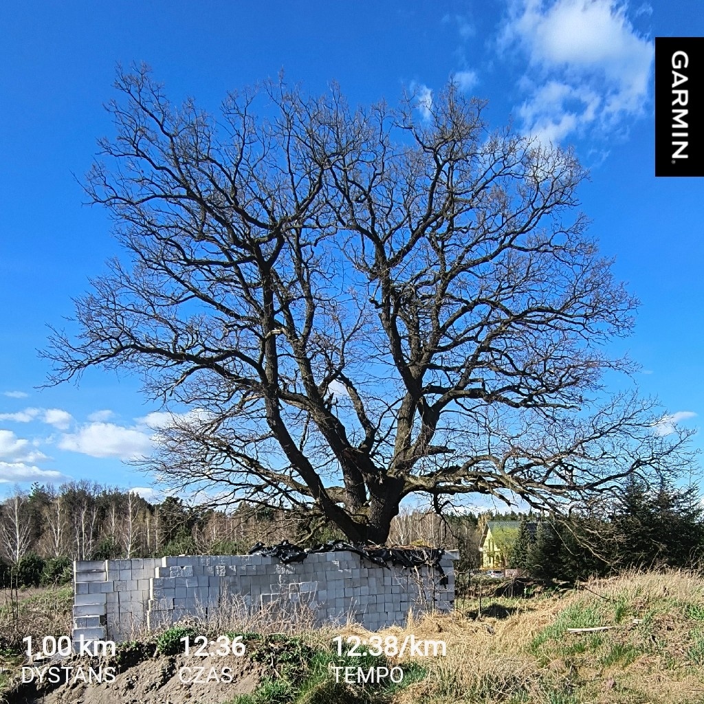 d15c1858-b45c-428e-8aa2-ed22c572f5e7