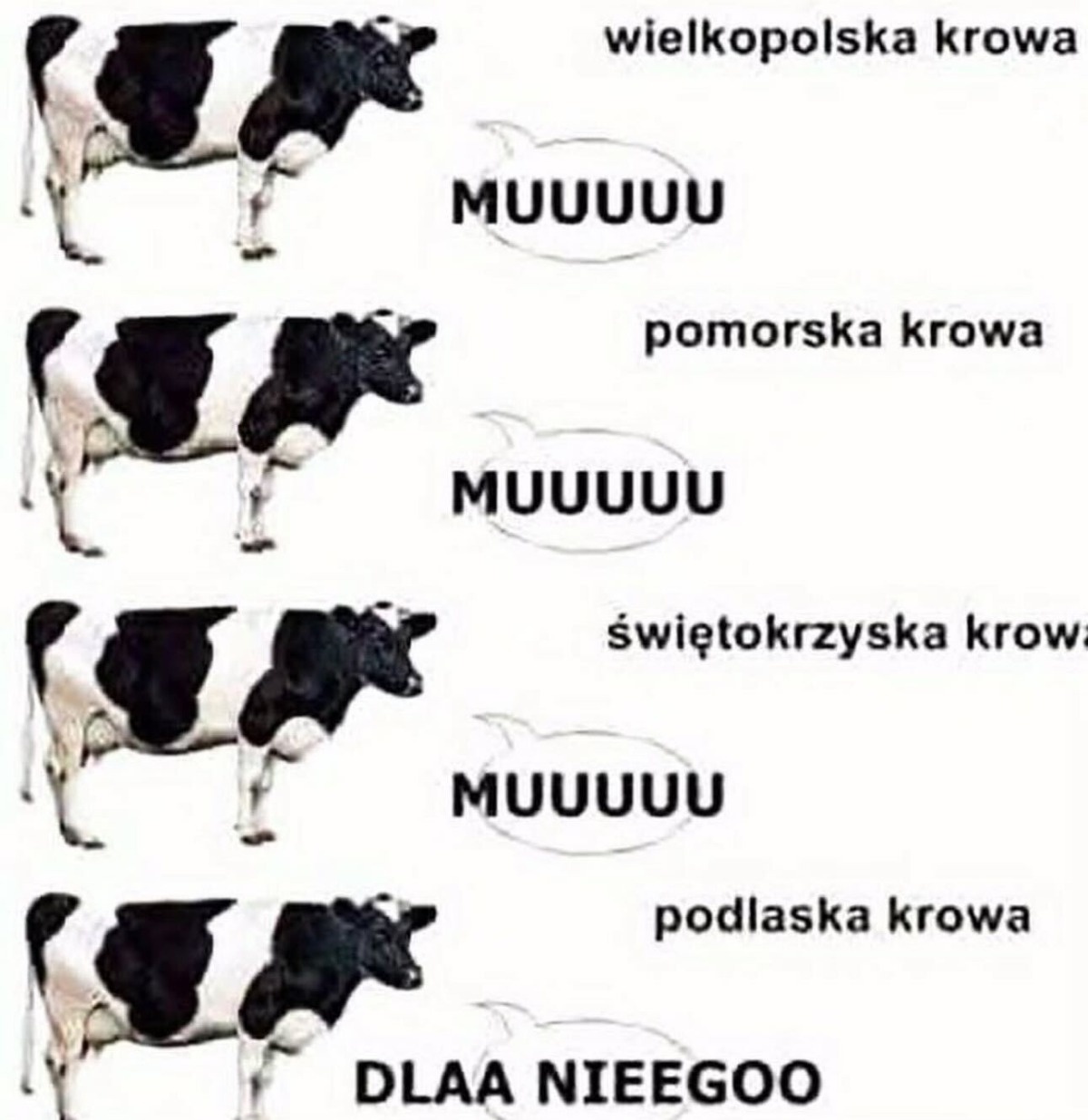 6135592d-0ddb-418d-bb12-d6787e402f61