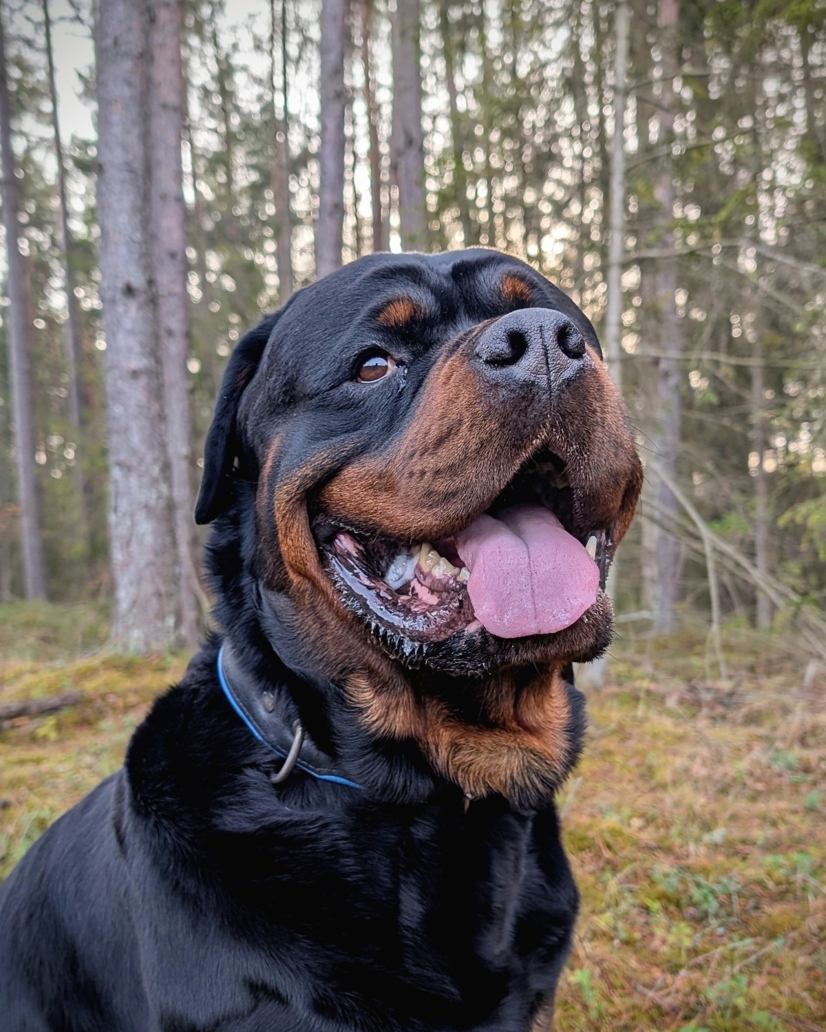 0e49be69-51bb-4c48-8cb6-c28161f0db29