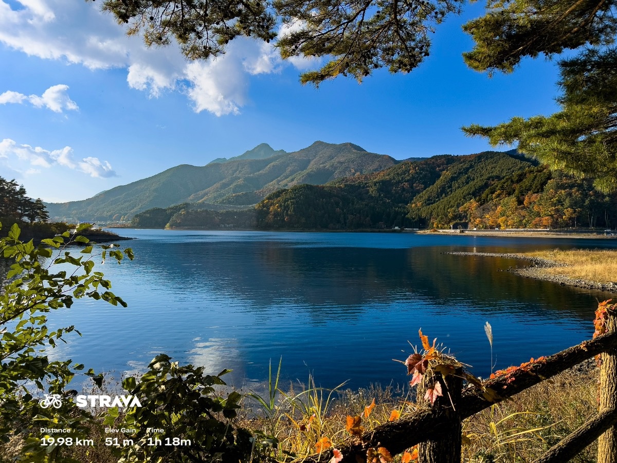 ccf1a110-2c37-4d5a-830e-2b39c91db929