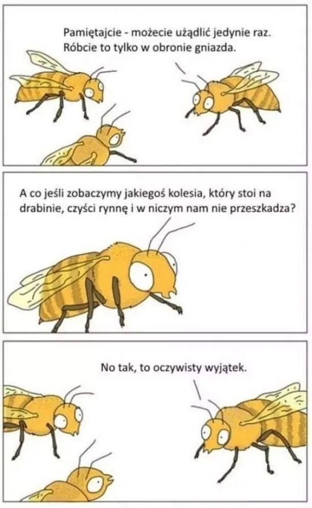 e08929a1-c0a6-42d5-94e2-f59f23e5d5c3