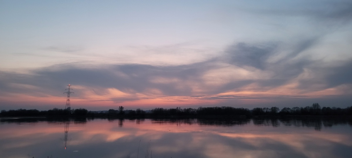 49a84686-988f-4a59-bbe9-4f4ffc941da3