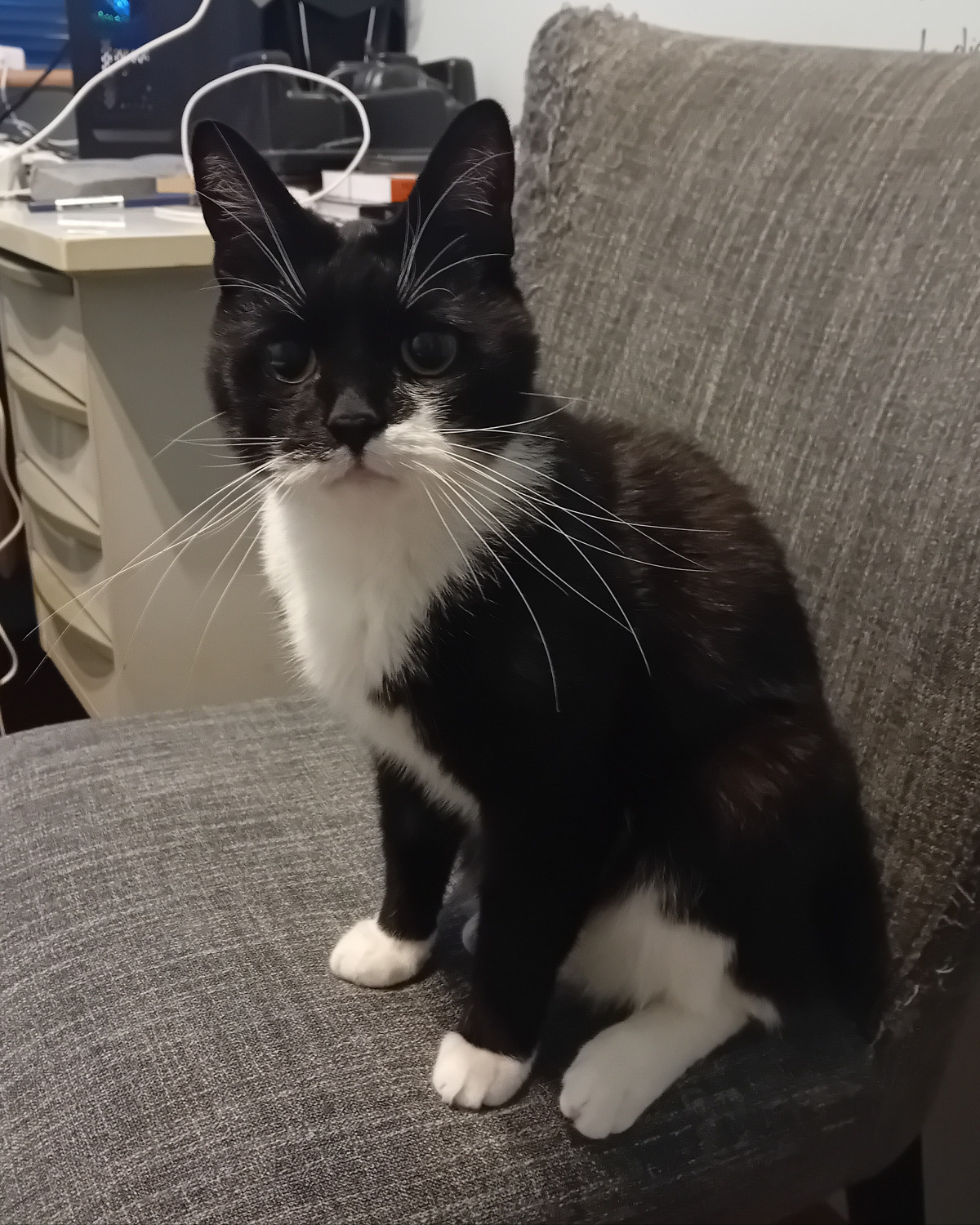 5e1a07b4-9084-4a0d-aad9-f5b0bac25738