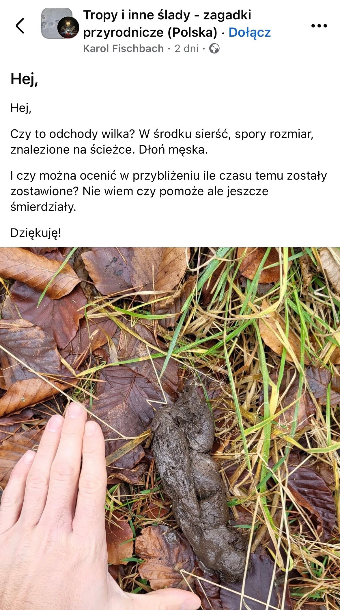 17e56b6c-93e3-4022-bc05-6ee95cb1fdb9