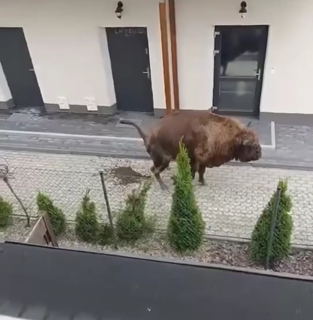 b6b32d0a-a285-4e69-8069-e4d5c0b1279d