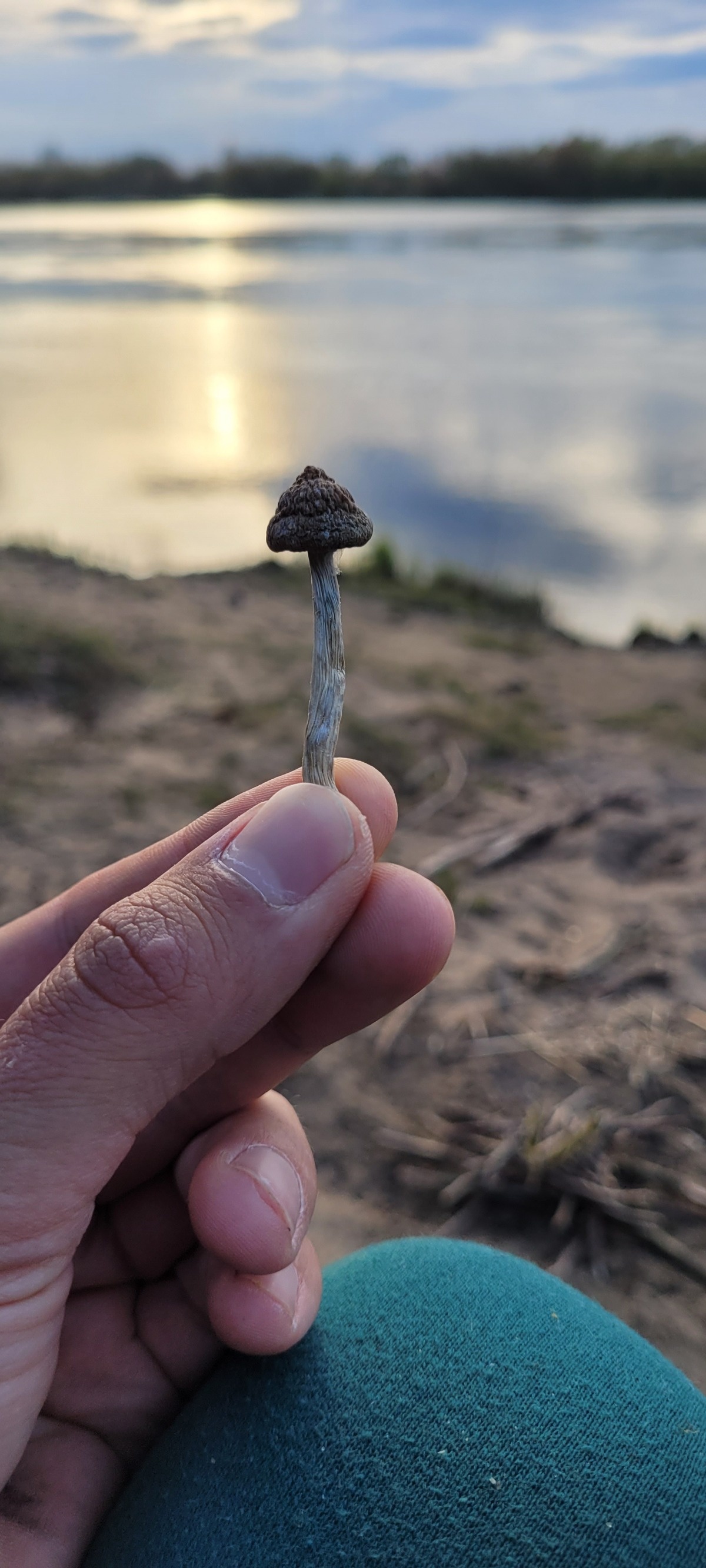 5b2df850-c5e4-4edc-ba77-655b5b1d691a