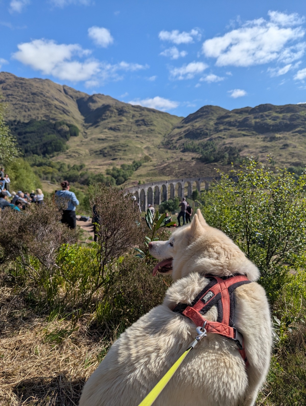 0d4cbe9c-87d8-4f7d-afce-b4a30d2d43db