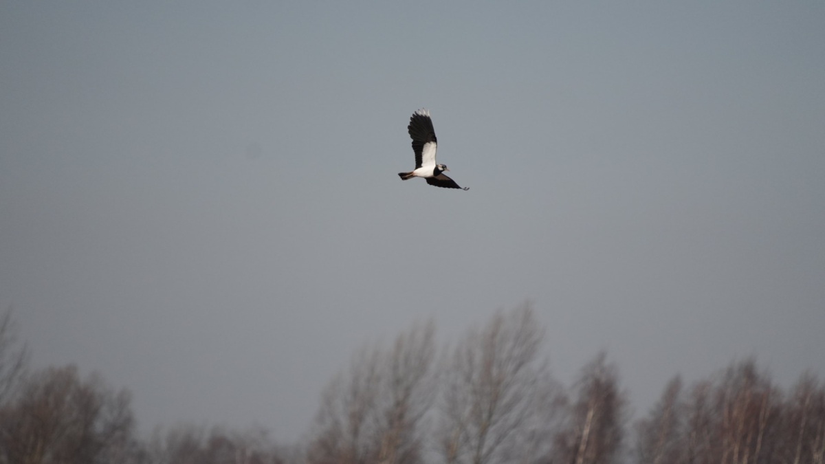 c54044bc-28d6-4c69-b967-19786df00846