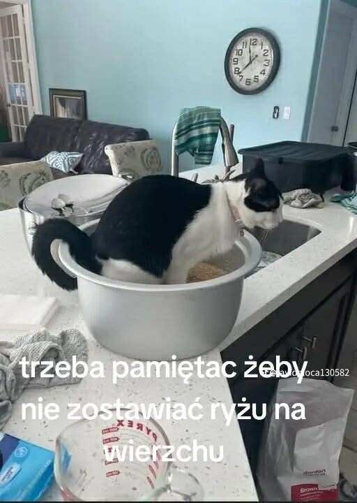 b16787f2-59a5-4baa-be8b-c1aedad28ed0