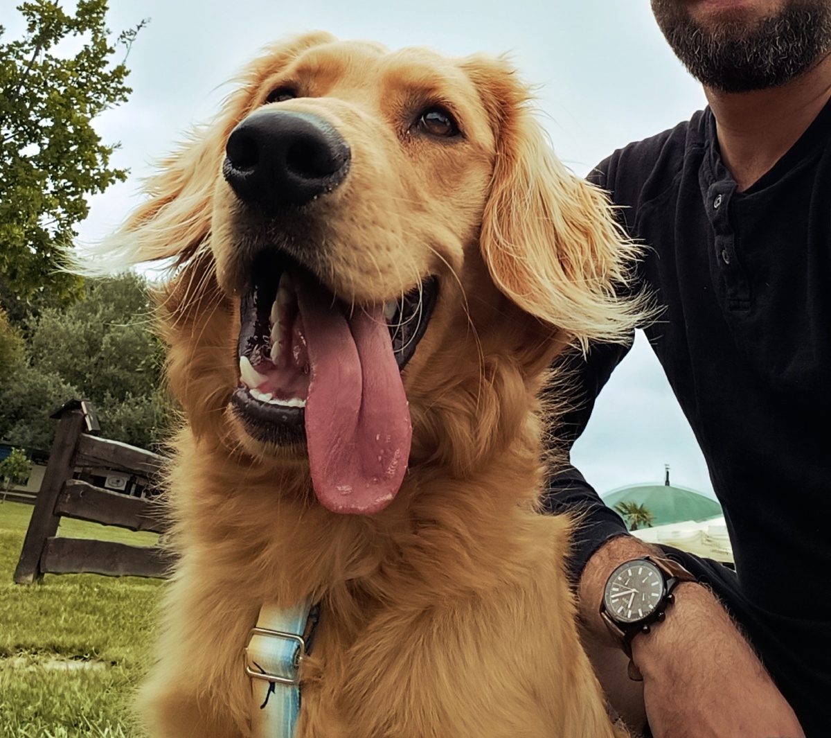 06a3b7b5-0771-4363-815c-beda309f4007