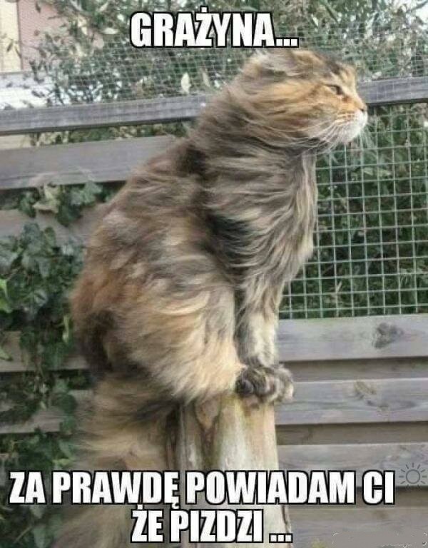 bd7718ee-b816-4a60-8b56-bcee27690a4f