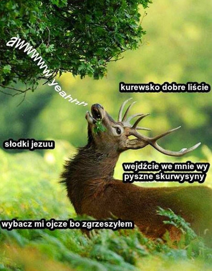 210be389-758d-4c91-b212-56c60681451c