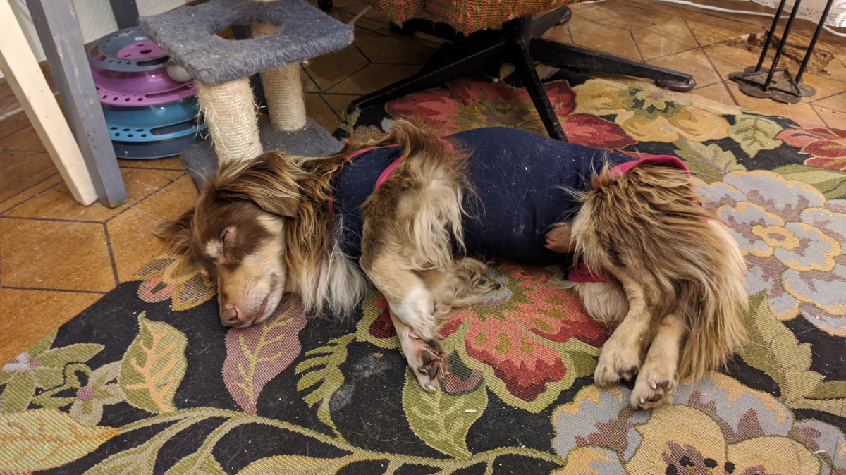 699dc039-735b-4629-8b85-aaf083321888