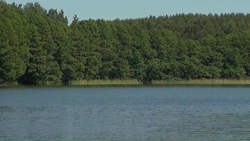 Wielkopolska. Małe dziecko w jeziorze. Mimo reanimacji zmarło